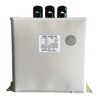 កាប៉ាស៊ីទ័រ Shizuki - shizuki capacitor