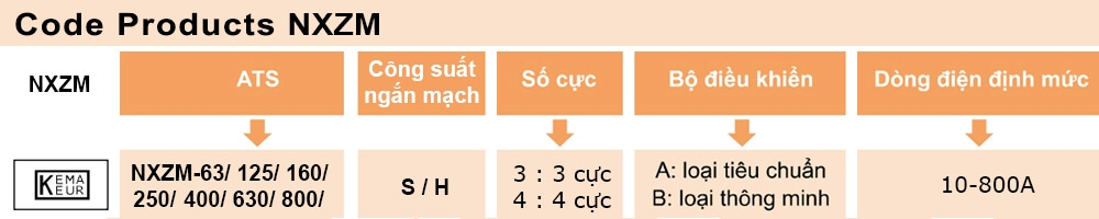 Cách tra mã ATS Chint NXZM-125H/3B 100A