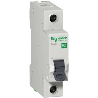 Schneider EZ9F34106.jpg